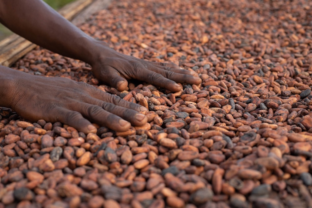 IAP Modal Cocoa - Header Pods On Rack